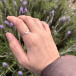 shell ring