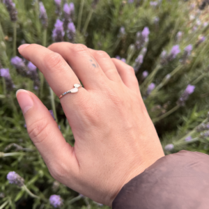 shell ring